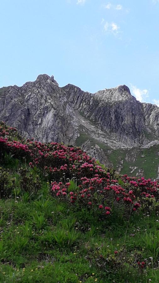 Appartamento Les Campanules Bourg-Saint-Maurice Esterno foto