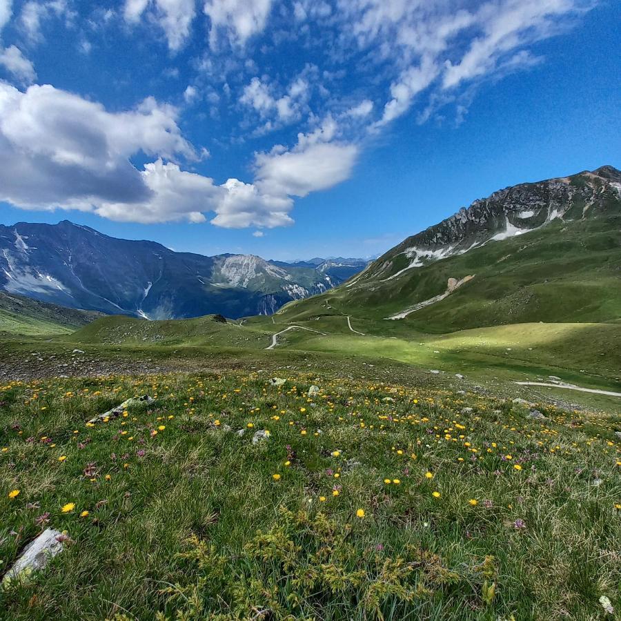 Appartamento Les Campanules Bourg-Saint-Maurice Esterno foto