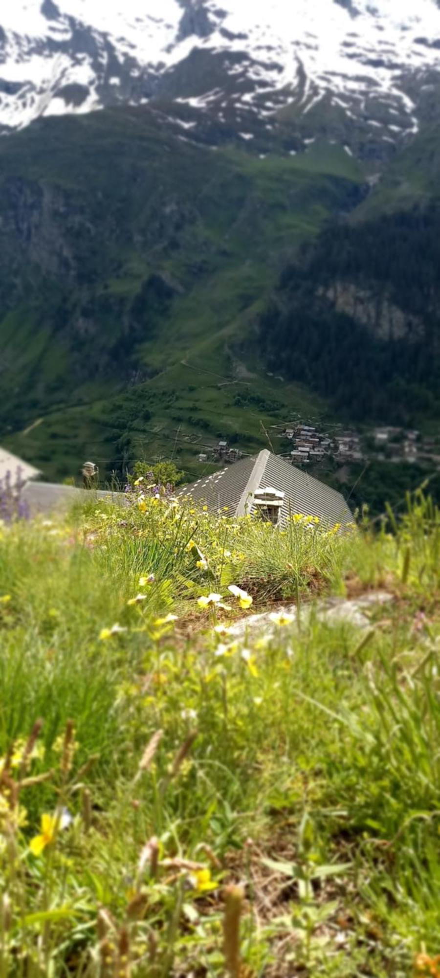 Appartamento Les Campanules Bourg-Saint-Maurice Esterno foto
